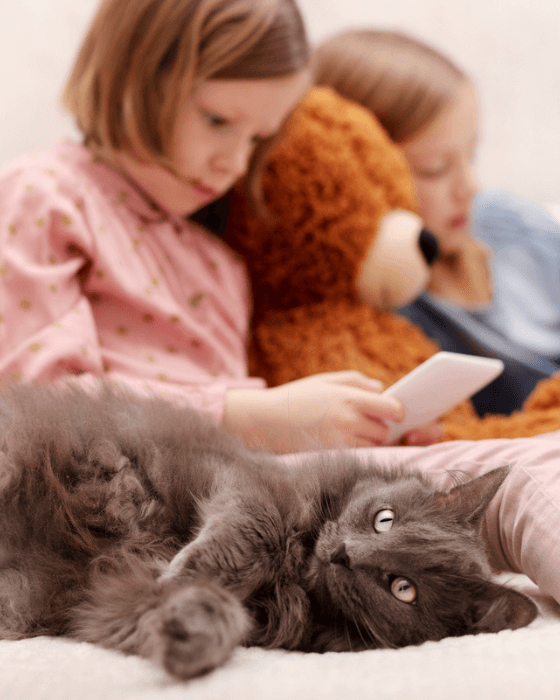 chat allongé avec des enfants derrière lui
