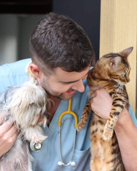 chat et chien dans les bras du vétérinaire