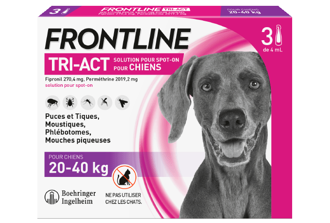 frontline ti-act chien