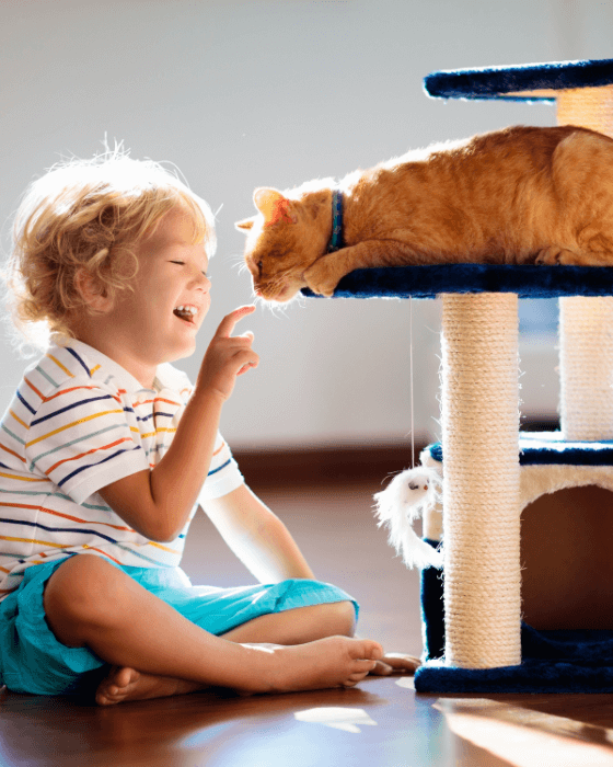 enfant jouant avec un chat