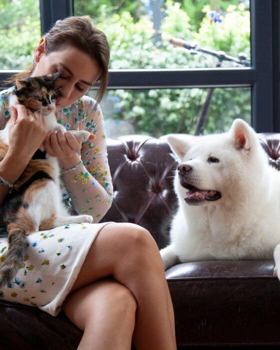 chat dans les bras d'une femme et chien les regardant