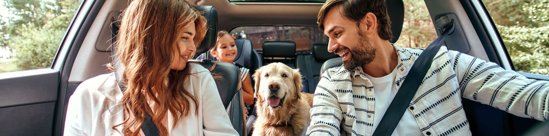 chien dans une voiture avec sa famille