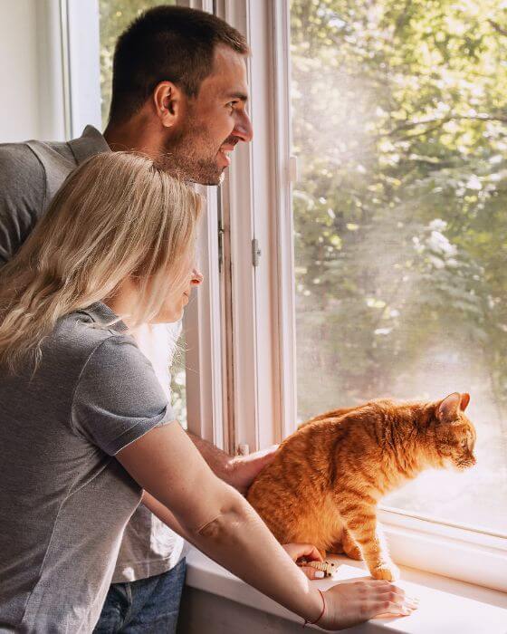 chat et sa famille regardant par la fenêtre