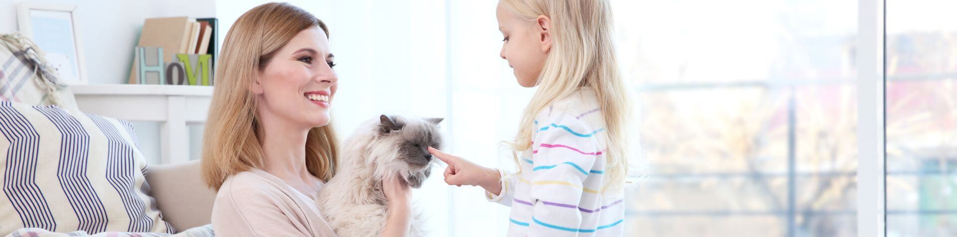petite fille touchant la truffe du chat