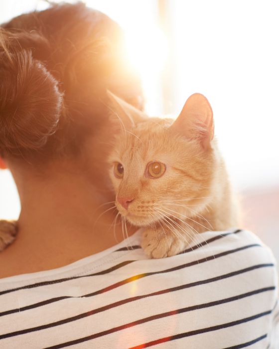 chat sur épaule d'une femme