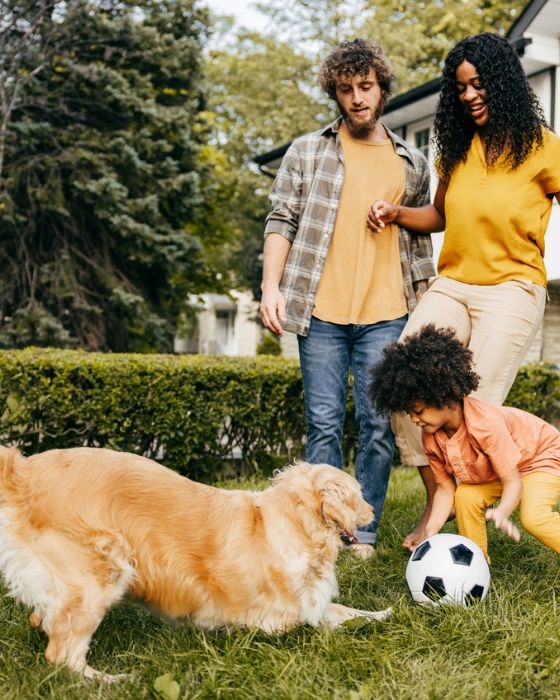 chien en train de jouer au ballon sur l'herbe en famille