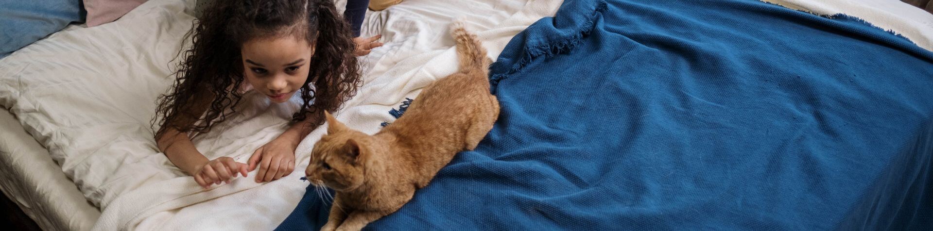 chat et petite fille allongés sur un lit