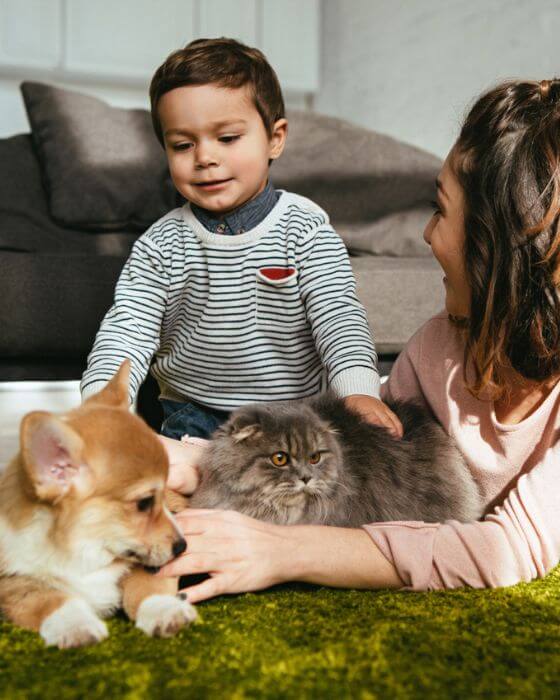 chat et chien sur pelouse avec famille