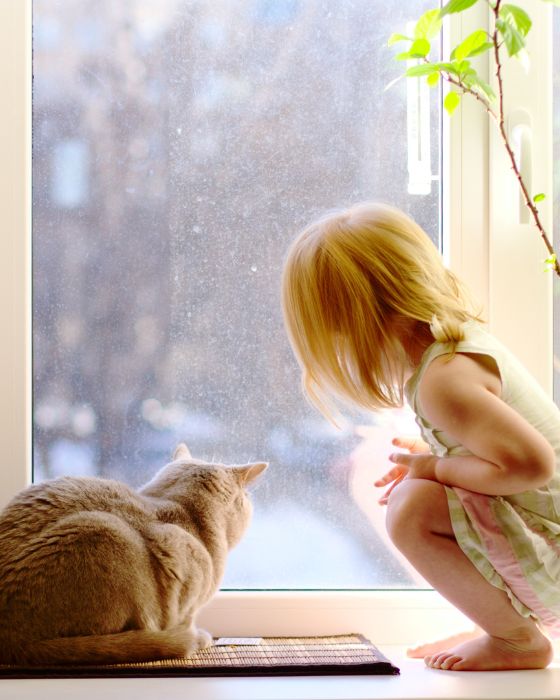 chat et enfant regardant à travers la fenêtre