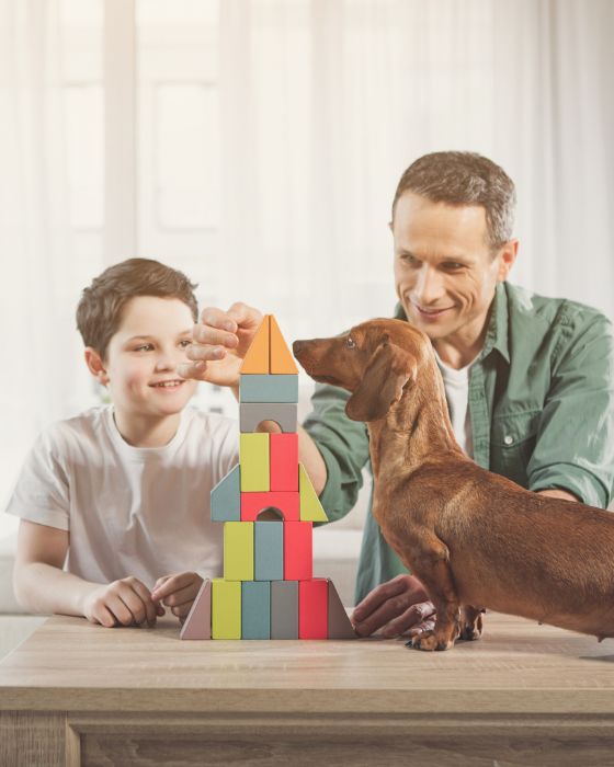 père et fils jouant au jeu de construction et chien à côté sur la table