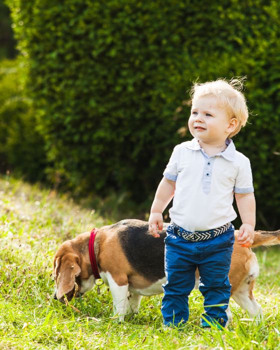 chien et petit garçon dans l'herbe