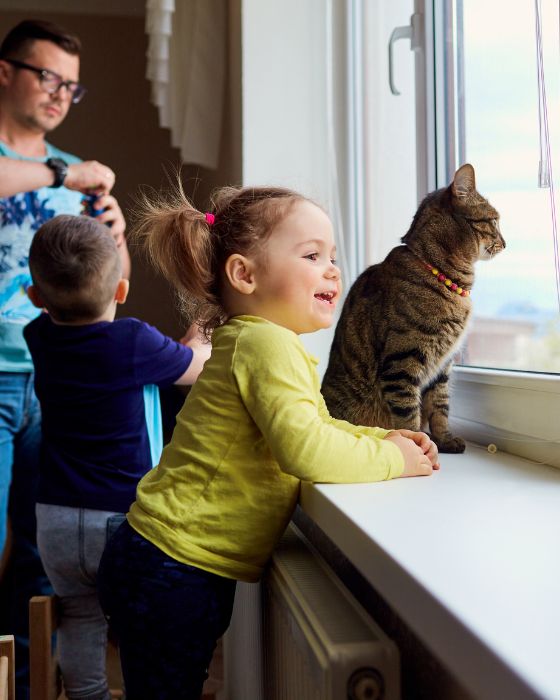 chat et petite fille regardant par la fenêtre