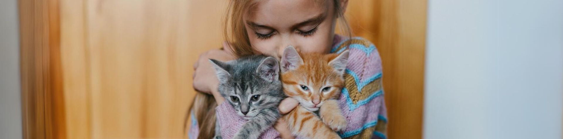 chatons dans les bras d'une petite fille
