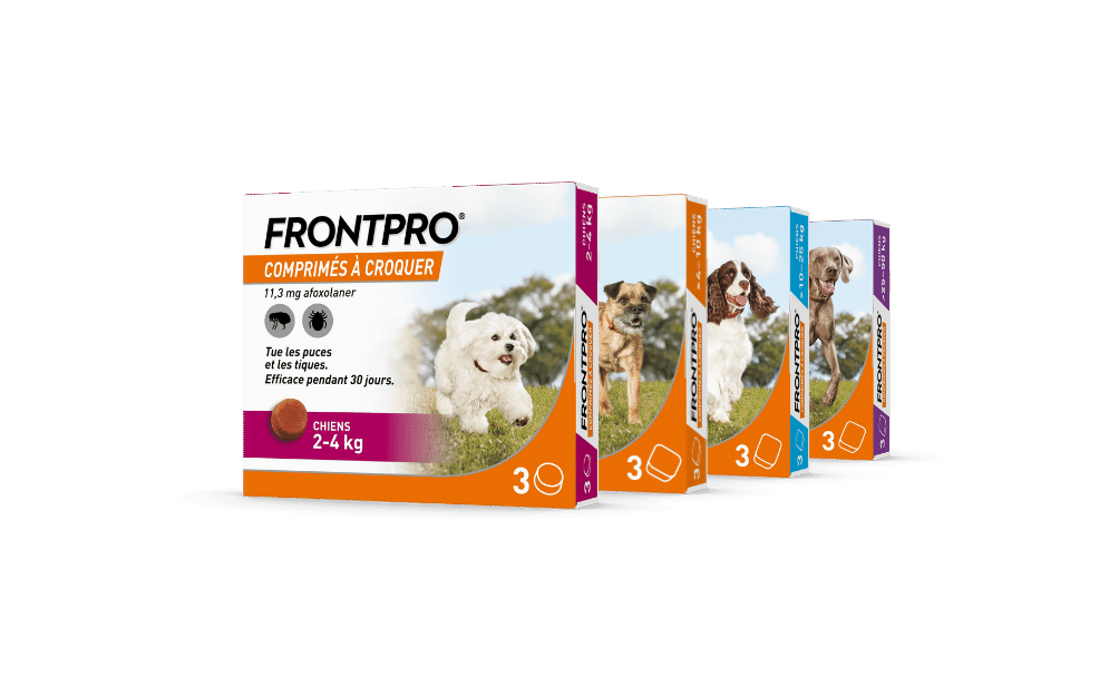 FRONTPRO - produit anti tique anti puce chien