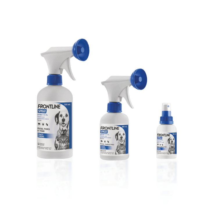 Spray traitement anti puce tique chat chien