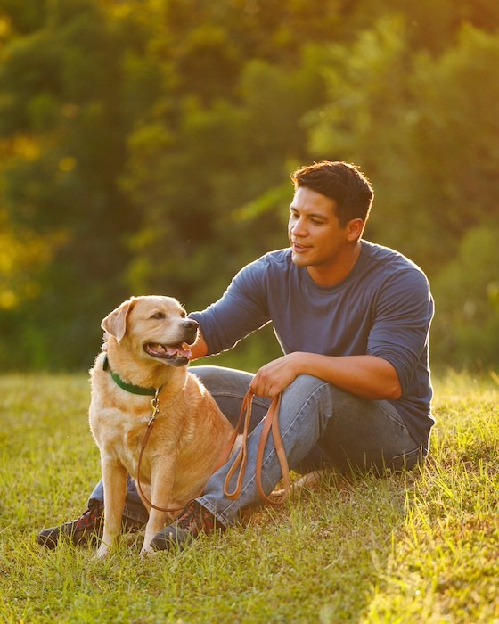 maître et son chien