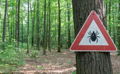attention-tiques