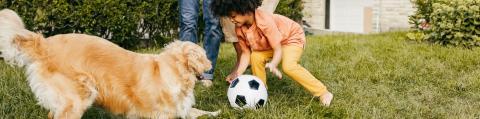 chien jouant au ballon dans l'herbe avant enfant